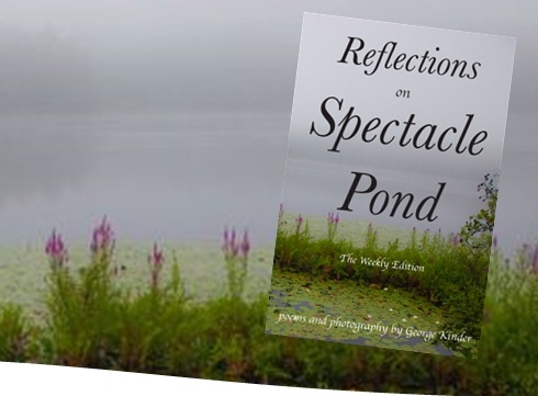 Reflections on Spectacle Pond