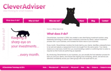 Clever Adviser website