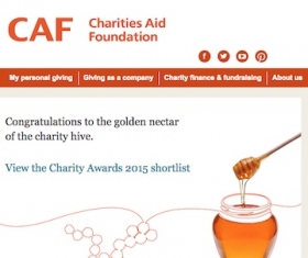 Charities Aid Foundation website