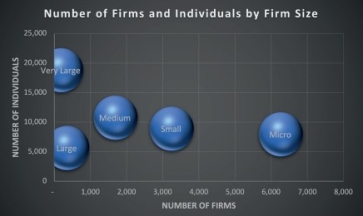 Number of firms and individuals by firm size